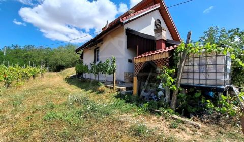 Kompletne zrekonštruovaná chata na viničnom vŕšku v obci Gbelce