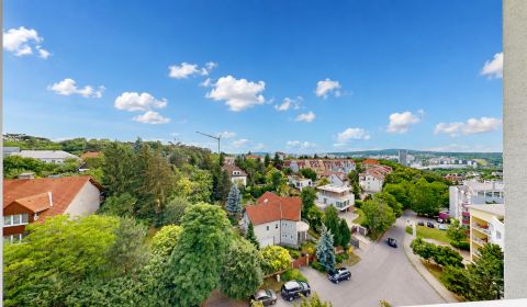 Veľký 2-izbový byt s lodžiou pri Horskom parku, BA–Staré Mesto, Svetlá