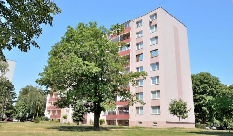 Budúce bývanie za dnešnú výhodnú cenu