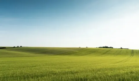 Medzany – 1.793 m2 POĽNOHOSPODÁRSKA pôda – Predaj 