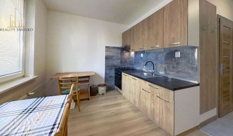 PRENÁJOM  1-izbový moderný kompletne zrekonštruovaný byt na začiatku S