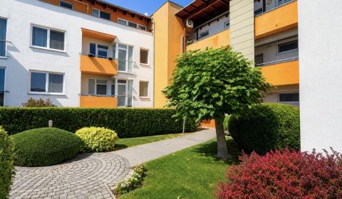 Krásny priestranný klimatizovaný 1izbový byt s terasou 66m2