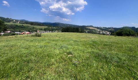 Predaj: Pozemok v obci Olešna (375-P)
