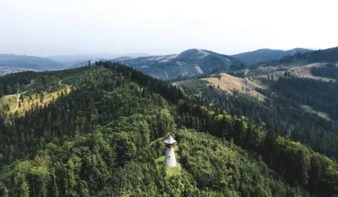 Stará Bystrica – 348 m2 LESNÉ pozemky – Predaj