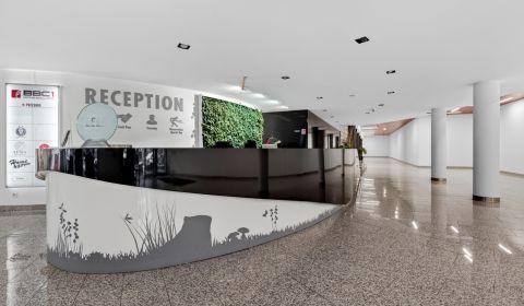 Administratívny celok 299m2 + terasa ako bonus