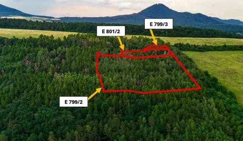 Veľký Šariš – 6.409 m2 LESNÉ  pozemky – Predaj