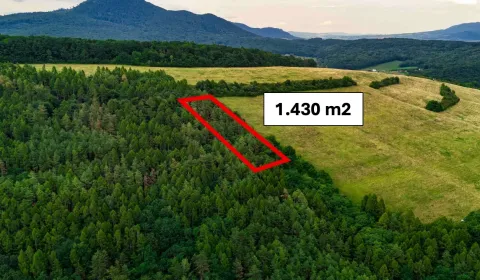 Veľký Šariš – 1.430 m2 LES v podiele 1/1 – Predaj