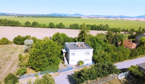 Rodinná 6 izbová vila s pozemkom 1659 m2 v obci Tajná (okres Nitra)