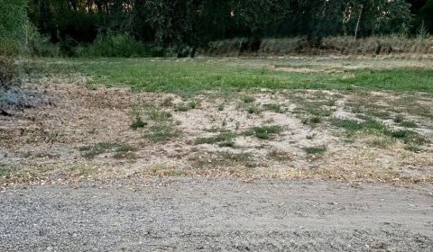 Pozemok v obci Malé Leváre 