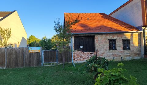 Predaj domu s veľkým pozemkom Dolný Lopašov
