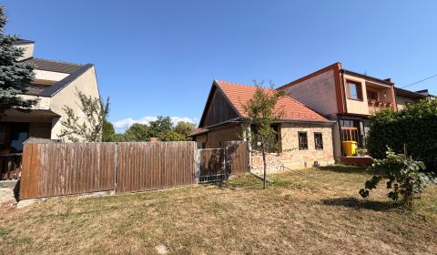 Predaj domu s veľkým pozemkom Dolný Lopašov