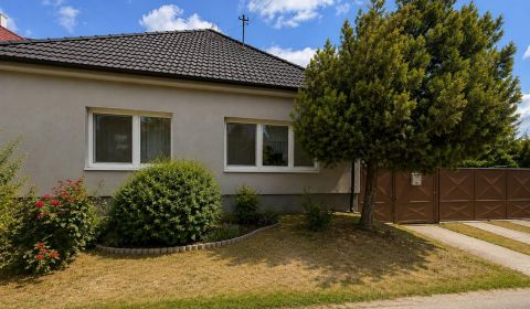 Rodinný dom s veľkým pozemkom 2 381 m² v Budmericiach 
