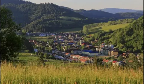 Vyšné Ružbachy – 262 m2 – INVESTIČNÉ pozemky – PREDAJ