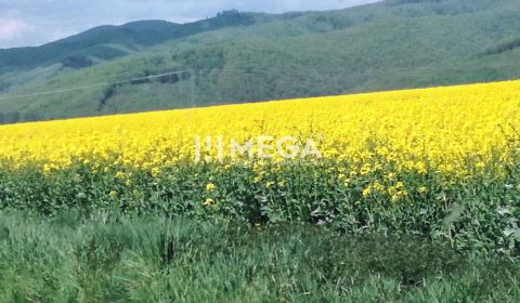 Na predaj - pozemky Kamenica nad Cirochou