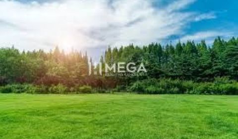 NA PREDAJ - INVESTÍČNÉ LESNÉ POZEMKY V OKOLÍ MESTA HUMENNÉ