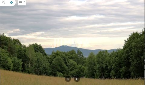 AKTUALIZÁCIA NA PREDAJ LESNÉ POZEMKY 7,8 ha MAŠKOVCE-DEDAČOV