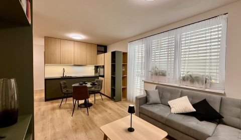 * na prenájom - moderná novostavba 2i bytu v centre s terasou