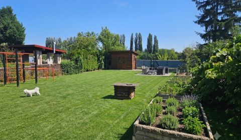Nadštandardný záhradný pozemok – Kamenný mlyn (elektrika+studňa)