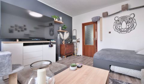 Dvojizbový byt s plochou 51 m² v mestskej časti Martin - Záturčie