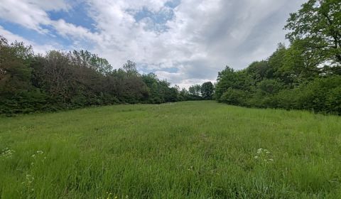 Pozemok na samote s panorámou hradu Čičva — ideálne na dom alebo farmu