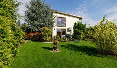 4 izbový rodinný dom Nová Dedinka, predaj, 543m2 