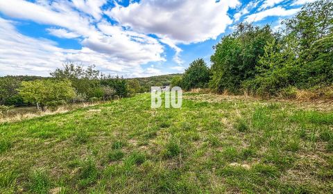 Na predaj pozemok v Kolíňanoch – 2 700 m²