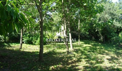 Stavebný pozemok - 1250 m2  Abaujvár