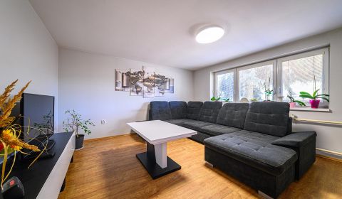 Čiastočne zrekonštruovaný 4-izbový rodinný dom – Šíd