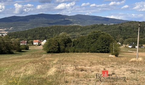 Pozemok na predaj – 4 903 m², Detva – Piešť I