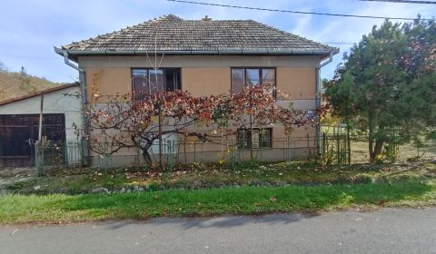 Dom v obci Ľuboriečka s veľkým pozemkom,