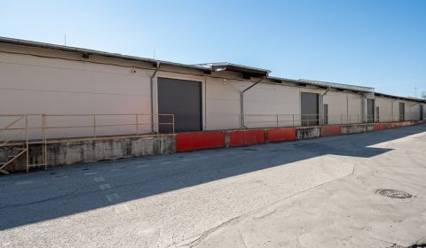 Na prenájom skladová hala 135m2, Trnava ulica Chovateľská