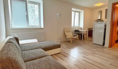 Garsónka na predaj v tehlovom dome Petržalka