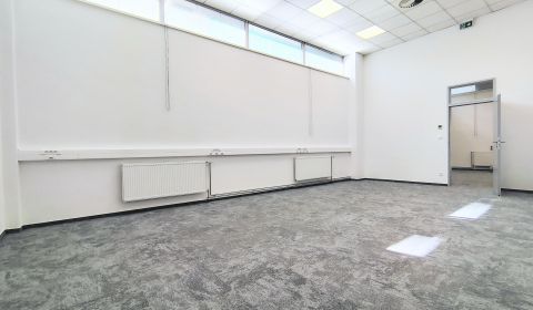Nadštandardne veľký nebytový priestor/ateliér/kancelária – Bajkalská