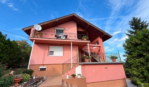 VEĽKORYSÝ DOM V KRUŠOVCIACH | 3 BYTOVÉ JEDNOTKY | 925 m² pozemok
