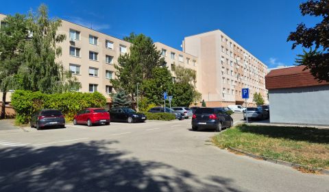 Priestranný 1-izbový byt na sídlisku 