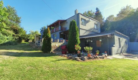 Jedinečný areál s dvoma domami na pozemku 5600 m² – D. Plachtince