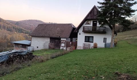 Samota Nová Baňa – Štále s hospodárskymi stavbami 