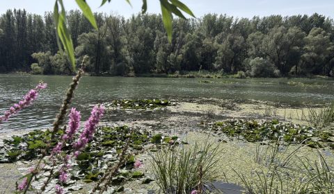 Predaj: Chata pri jazere s vlastným mólom v Bodíkoch