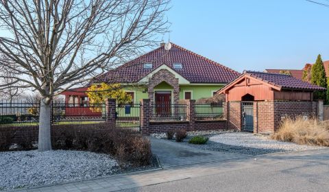 Úžasný veľkometrážny 7-izbový rodinný dom v obci Dolný Bar