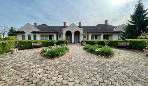 NA  PREDAJ:  VÝRAZNÁ ZĽAVA - Rodinná vila vedľa mesta Dunajská Streda