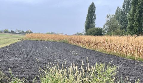 ZNÍŽENÁ CENA! Stavebný pozemok o rozlohe 557 m2 v Holiciach!
