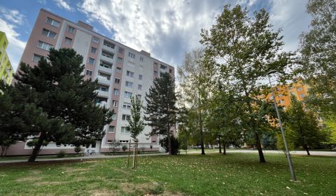 Jednoizbový byt po kompletnej rekonštrukcii sídlisko A. Trajan
