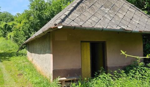 Predám vidiecky dom v obci Kamenica nad Hronom