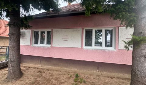 Predám rodinný dom s veľkým pozemkom v obci Černík