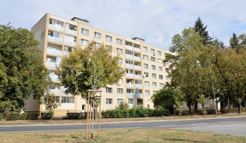 Byt, ktorý sa netvári, že je niečo, čím nie je. Sídlisko Juh, 47 m2