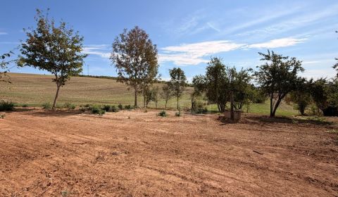 VEĽKÝ POZEMOK (3565 m2) V OBCI DEDINKA – IDEÁLNY PRE DOM, ZVIERATÁ AJ 
