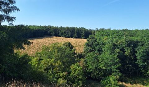Na predaj - Pozemok 792m2 v žiadanej lokalite Stupava pod lesom s UPI 