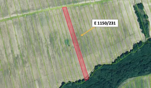 Drienov – 6.000 m2 ORNÁ PÔDA v podiele 1/1