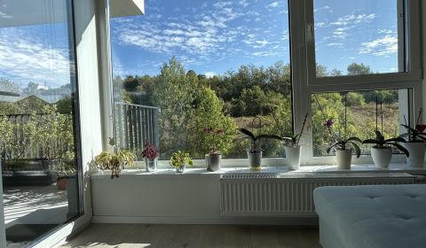 NOVOSTAVBA PETELEN | TERASA | GARÁŽ | 2 IZBY