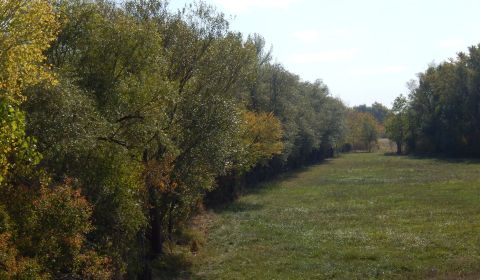 Pozemok s výmerou 511m2 v Martovciach-pri rieke Žitava.